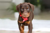 processed/8740080d-3976-4f8b-bc43-7e9c2d2c5623/listing/143ec854-2b8b-4ce3-99f7-40a366dffa7b/4696dd9d-8372-4fa4-bafb-1464a78a83d1