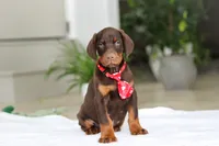 processed/8740080d-3976-4f8b-bc43-7e9c2d2c5623/listing/143ec854-2b8b-4ce3-99f7-40a366dffa7b/582990b1-e99e-459f-852a-9ab254be6802