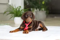 processed/8740080d-3976-4f8b-bc43-7e9c2d2c5623/listing/143ec854-2b8b-4ce3-99f7-40a366dffa7b/75e6b10b-1e95-4565-aa01-73cd7bfb499d