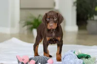 processed/8740080d-3976-4f8b-bc43-7e9c2d2c5623/listing/3b31683b-5733-4fe1-85fa-ffbe4c595b02/250ef932-a36d-47fe-90a4-1ea839c23cd9