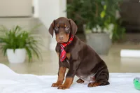 processed/8740080d-3976-4f8b-bc43-7e9c2d2c5623/listing/3b31683b-5733-4fe1-85fa-ffbe4c595b02/6d44901a-343e-4eb0-a09d-a0fd846dfbd0