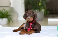 processed/8740080d-3976-4f8b-bc43-7e9c2d2c5623/listing/3b31683b-5733-4fe1-85fa-ffbe4c595b02/b091b2fc-466f-4b71-ac38-2032f736f7f4