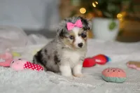 processed/8740080d-3976-4f8b-bc43-7e9c2d2c5623/listing/4248f236-098f-4506-bfbe-3974f1096418/1e6f50f9-620d-4243-a3fa-6d8d2d4ba28f