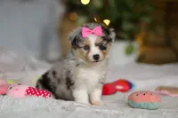 processed/8740080d-3976-4f8b-bc43-7e9c2d2c5623/listing/4248f236-098f-4506-bfbe-3974f1096418/538783ef-ec5e-4def-85bc-e516c32c7f70