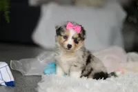 processed/8740080d-3976-4f8b-bc43-7e9c2d2c5623/listing/4248f236-098f-4506-bfbe-3974f1096418/70c6ab8f-a944-479c-809e-335cf6d829d7