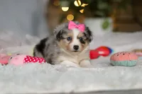 processed/8740080d-3976-4f8b-bc43-7e9c2d2c5623/listing/4248f236-098f-4506-bfbe-3974f1096418/89596c1f-b682-485e-aa4e-d6b1680a56e0