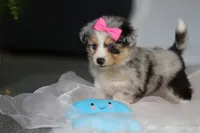 processed/8740080d-3976-4f8b-bc43-7e9c2d2c5623/listing/4248f236-098f-4506-bfbe-3974f1096418/8cb1c700-43e4-45a8-95f1-46436fbf08db