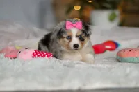 processed/8740080d-3976-4f8b-bc43-7e9c2d2c5623/listing/4248f236-098f-4506-bfbe-3974f1096418/d97b654f-d1e0-41b7-b43e-247d4e8c1bbb