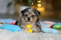 processed/8740080d-3976-4f8b-bc43-7e9c2d2c5623/listing/48fb0a0e-78ad-4256-8ff0-0d2b73f2945a/1fd1e33e-8bed-4016-84bb-64fcc5cbde6b