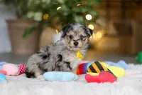 processed/8740080d-3976-4f8b-bc43-7e9c2d2c5623/listing/48fb0a0e-78ad-4256-8ff0-0d2b73f2945a/fa7e05a7-9c9c-4704-89dc-3f752b59b2da