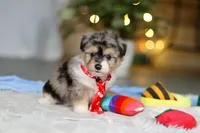 processed/8740080d-3976-4f8b-bc43-7e9c2d2c5623/listing/540b97a1-8e47-4ce2-aba6-005226a1735c/532abcd5-6711-49e1-b70f-93df61eb44e1