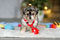 processed/8740080d-3976-4f8b-bc43-7e9c2d2c5623/listing/540b97a1-8e47-4ce2-aba6-005226a1735c/6f4e2489-f66b-48d6-a218-dcde93bb57a5