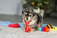 processed/8740080d-3976-4f8b-bc43-7e9c2d2c5623/listing/540b97a1-8e47-4ce2-aba6-005226a1735c/7b1dfc17-7032-4a21-84c9-66400035c0f9