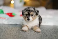 processed/8740080d-3976-4f8b-bc43-7e9c2d2c5623/listing/540b97a1-8e47-4ce2-aba6-005226a1735c/b0207010-1769-4d64-a80c-e2ce1d10b0d8