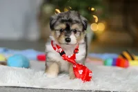 processed/8740080d-3976-4f8b-bc43-7e9c2d2c5623/listing/540b97a1-8e47-4ce2-aba6-005226a1735c/c7d5988d-feaf-470b-881f-939546daca6e