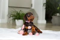 processed/8740080d-3976-4f8b-bc43-7e9c2d2c5623/listing/58df8ab7-1567-44bf-b864-a85a8d852ab1/f48caff1-142d-4339-abcc-bda1ad917431