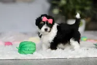 processed/8740080d-3976-4f8b-bc43-7e9c2d2c5623/listing/76b3400e-7a69-4146-91f7-2c296b907003/067c3990-c0f5-469a-b517-8aa23bebae9e