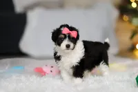 processed/8740080d-3976-4f8b-bc43-7e9c2d2c5623/listing/76b3400e-7a69-4146-91f7-2c296b907003/400bbe66-3e75-49b8-9358-87def8ce65e0