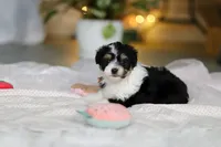 processed/8740080d-3976-4f8b-bc43-7e9c2d2c5623/listing/76b3400e-7a69-4146-91f7-2c296b907003/602547f3-ae3c-4b04-9806-36520639f127