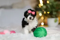 processed/8740080d-3976-4f8b-bc43-7e9c2d2c5623/listing/76b3400e-7a69-4146-91f7-2c296b907003/84f99430-afbe-4738-b8be-e1d99da79773