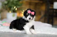 processed/8740080d-3976-4f8b-bc43-7e9c2d2c5623/listing/76b3400e-7a69-4146-91f7-2c296b907003/a31f0e70-0d54-4e29-8d18-73ab3094820d