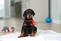 processed/8740080d-3976-4f8b-bc43-7e9c2d2c5623/listing/99ee52a7-c1c5-4c1c-9793-7a5d8ccdc78d/534c3676-da62-402b-9c21-79a54f3805d1