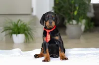 processed/8740080d-3976-4f8b-bc43-7e9c2d2c5623/listing/99ee52a7-c1c5-4c1c-9793-7a5d8ccdc78d/b9132f9c-dabe-4a93-997f-c1660478b658