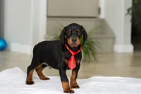 processed/8740080d-3976-4f8b-bc43-7e9c2d2c5623/listing/99ee52a7-c1c5-4c1c-9793-7a5d8ccdc78d/e73f34c3-b829-483c-8099-47b3bf5657dc