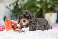 processed/8740080d-3976-4f8b-bc43-7e9c2d2c5623/listing/e4fa528c-c781-4ed1-a321-87cd42d681fd/367d988c-d6ee-477c-ae0c-4fb4ed181b7e