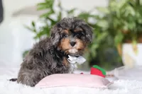 processed/8740080d-3976-4f8b-bc43-7e9c2d2c5623/listing/e4fa528c-c781-4ed1-a321-87cd42d681fd/474f4bf6-aa75-45fc-9388-3528e5c21dd1