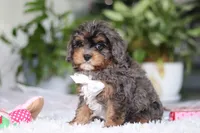 processed/8740080d-3976-4f8b-bc43-7e9c2d2c5623/listing/e4fa528c-c781-4ed1-a321-87cd42d681fd/6a12c542-135b-4ecb-8948-6ad13f303185