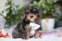 processed/8740080d-3976-4f8b-bc43-7e9c2d2c5623/listing/e4fa528c-c781-4ed1-a321-87cd42d681fd/73b862c5-b374-461f-9533-57fc3eb1120b