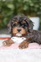 processed/8740080d-3976-4f8b-bc43-7e9c2d2c5623/listing/e4fa528c-c781-4ed1-a321-87cd42d681fd/8240de06-89b1-4253-bc86-7461ff698406