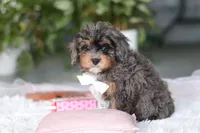 processed/8740080d-3976-4f8b-bc43-7e9c2d2c5623/listing/e4fa528c-c781-4ed1-a321-87cd42d681fd/c7d5fe02-6f79-4f84-8e88-f06fe63b0bab