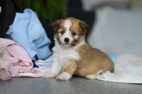 processed/8740080d-3976-4f8b-bc43-7e9c2d2c5623/listing/f59c410a-09d7-4313-979c-a57a5fd1e1b5/66b35278-3d45-4563-8fd8-8a28cd3960e9