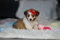 processed/8740080d-3976-4f8b-bc43-7e9c2d2c5623/listing/f59c410a-09d7-4313-979c-a57a5fd1e1b5/ee771af7-0728-417f-97f5-b09993f2d41f