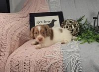 processed/8747a560-6f0f-4106-81bc-4de8424409f1/listing/23344ddf-f08a-4191-9594-9998dd620c2f/2d6504c7-2145-47b3-8186-6d27d0aa5c0b