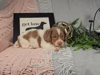 processed/8747a560-6f0f-4106-81bc-4de8424409f1/listing/23344ddf-f08a-4191-9594-9998dd620c2f/31a5a111-e4ce-4b8e-8e5b-df7ff68fff54