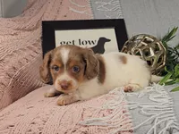 processed/8747a560-6f0f-4106-81bc-4de8424409f1/listing/23344ddf-f08a-4191-9594-9998dd620c2f/841f7b62-6939-4622-a0fa-fa9fa535454c