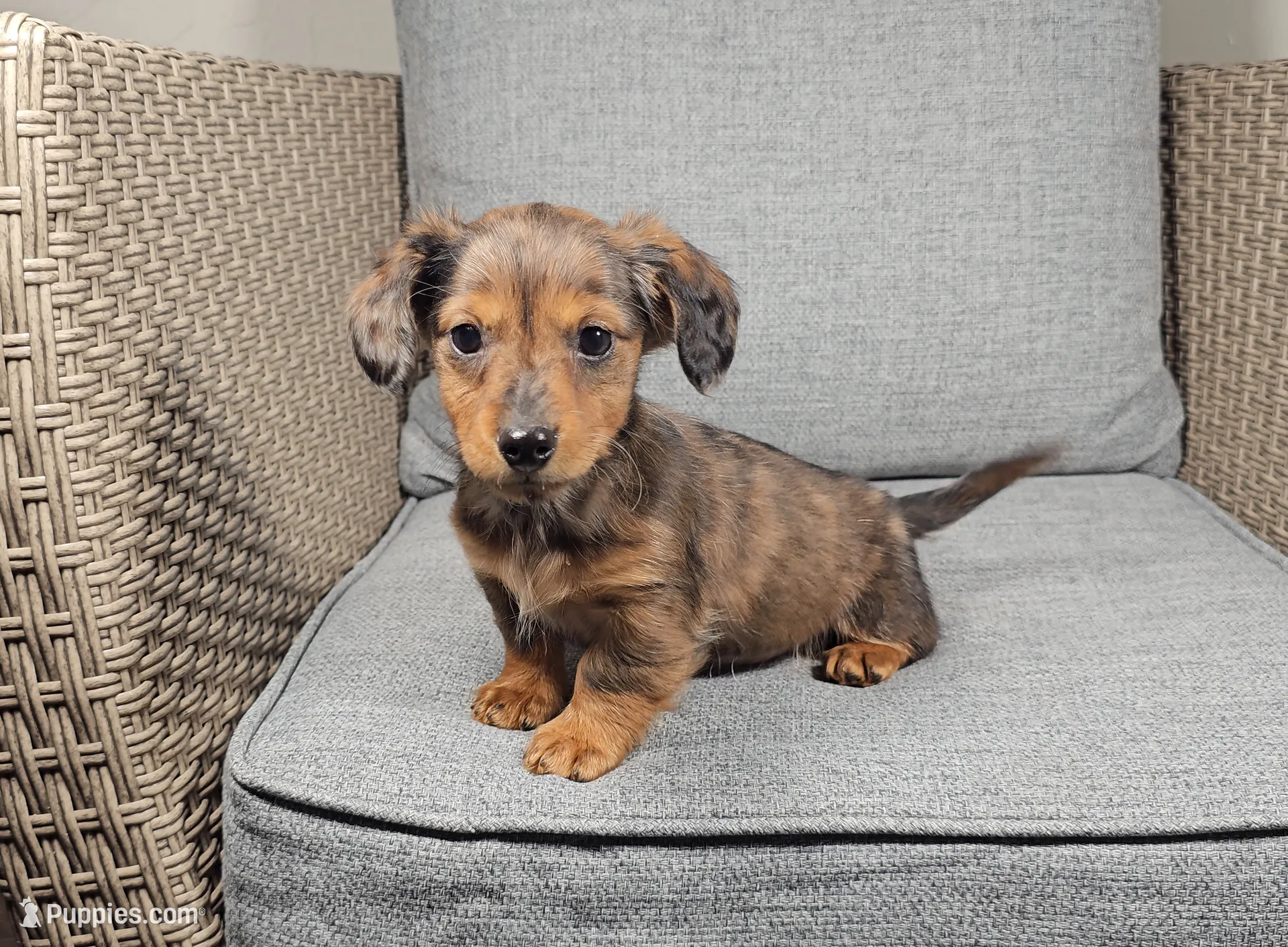 processed/8747a560-6f0f-4106-81bc-4de8424409f1/listing/29091c1e-d21b-4d01-989c-51be1c457104/6b3fae7f-8468-4672-87bc-2d413e20ff8c