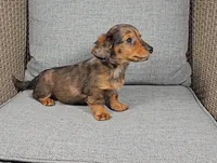 processed/8747a560-6f0f-4106-81bc-4de8424409f1/listing/29091c1e-d21b-4d01-989c-51be1c457104/f8ba2e4c-3886-4bd9-8734-afcacf00de7f