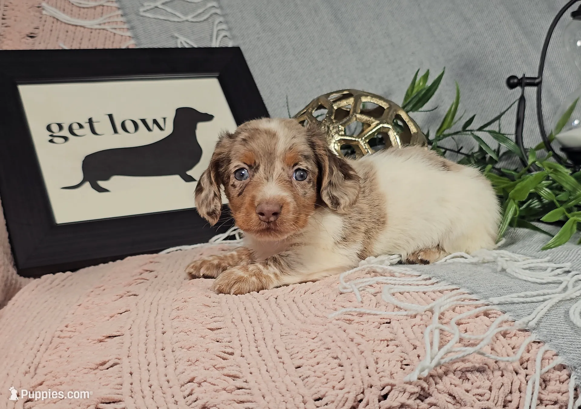 processed/8747a560-6f0f-4106-81bc-4de8424409f1/listing/443f3322-d0df-4145-a9a9-7dfc19ec2a4c/7052f52e-20f8-47e9-a3ba-b9b5bef5c987