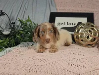 processed/8747a560-6f0f-4106-81bc-4de8424409f1/listing/443f3322-d0df-4145-a9a9-7dfc19ec2a4c/89e9711b-d196-4618-9162-5c6ba172ef27