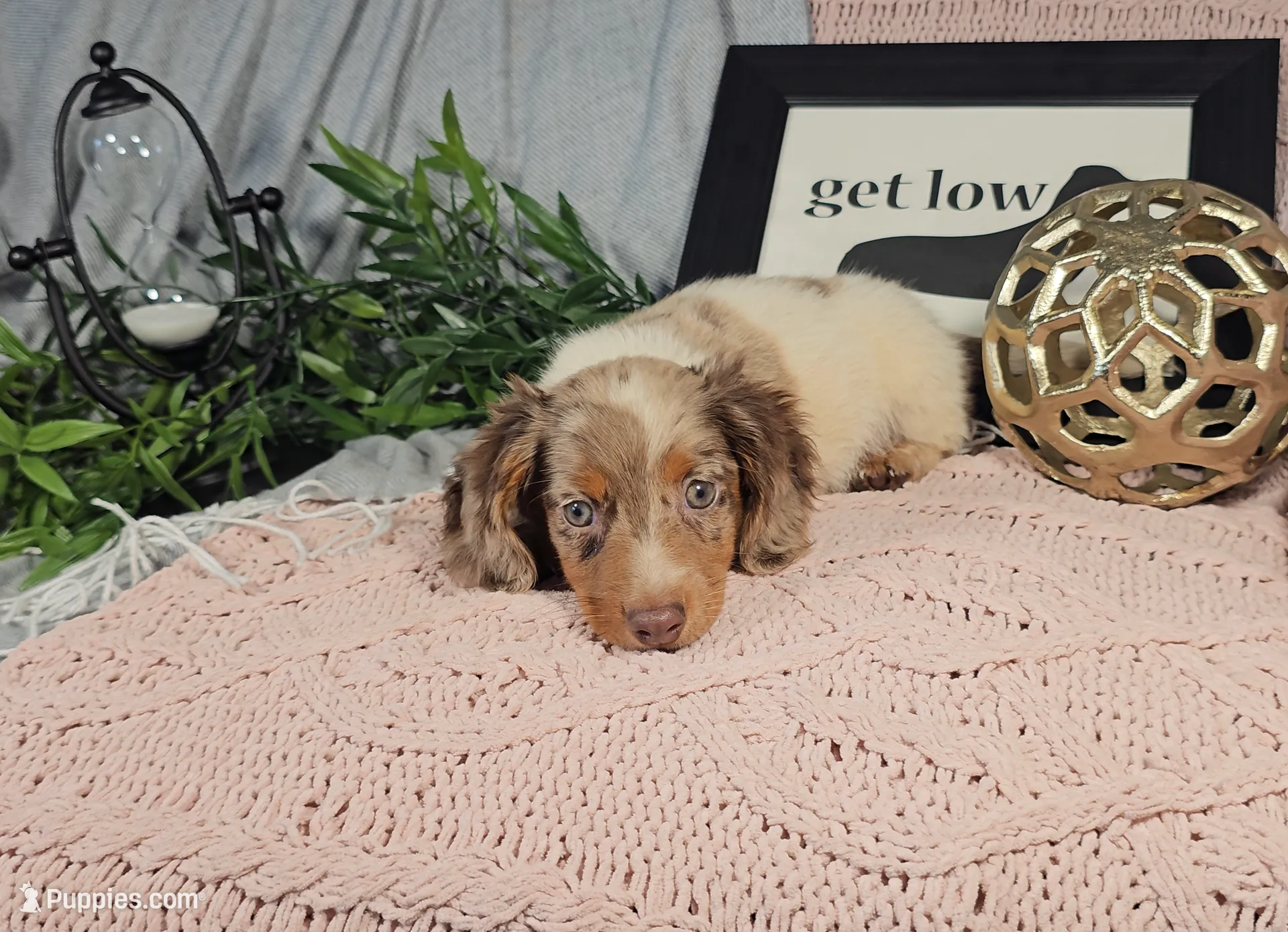 processed/8747a560-6f0f-4106-81bc-4de8424409f1/listing/443f3322-d0df-4145-a9a9-7dfc19ec2a4c/ea695cde-617b-4f7e-bb4f-442bc9060a43