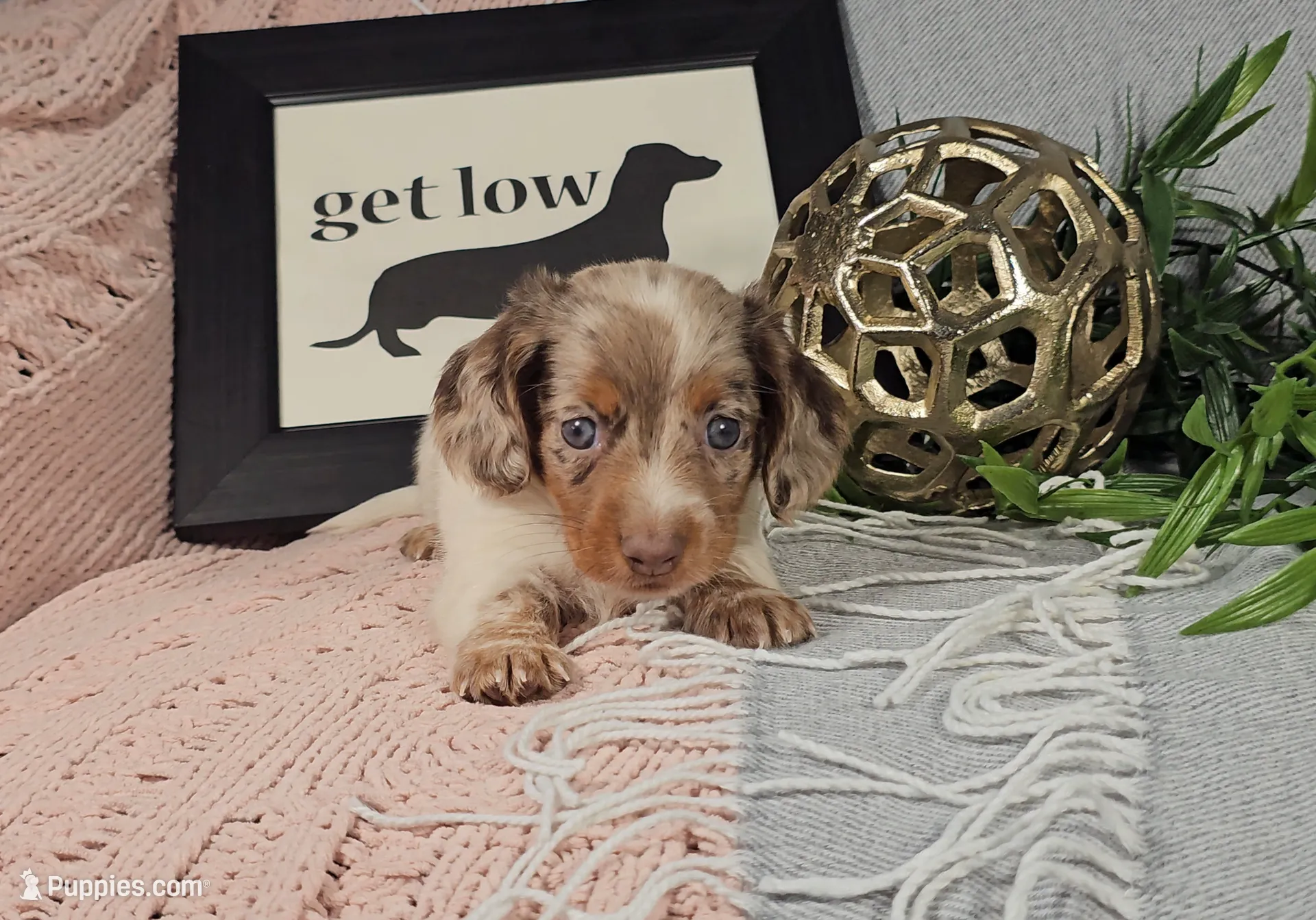 processed/8747a560-6f0f-4106-81bc-4de8424409f1/listing/443f3322-d0df-4145-a9a9-7dfc19ec2a4c/ec91a027-9106-45d3-bf65-ed269f841fea