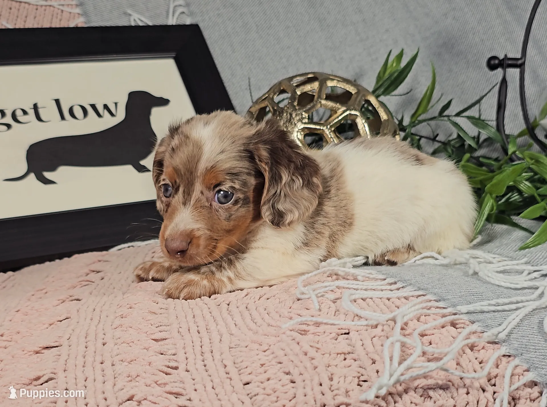 processed/8747a560-6f0f-4106-81bc-4de8424409f1/listing/443f3322-d0df-4145-a9a9-7dfc19ec2a4c/fe145cf5-cada-4b09-8e15-2dd64b2a6089