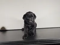 processed/8747a560-6f0f-4106-81bc-4de8424409f1/listing/9ad88752-e252-4925-95b6-311fc9600cb3/0e74ae48-9116-4b08-acba-997ee64fa1de