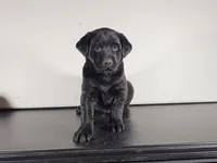 processed/8747a560-6f0f-4106-81bc-4de8424409f1/listing/9ad88752-e252-4925-95b6-311fc9600cb3/188d2ee0-93a6-48d7-86b4-ba9451c14e5c