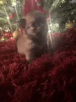 processed/8754e498-0d43-4869-9fd6-ca1893503a22/listing/8147b884-2e32-4164-b8c9-6464163ae7b9/79bcde05-54f2-4245-ac56-111024c91694