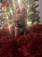 processed/8754e498-0d43-4869-9fd6-ca1893503a22/listing/8147b884-2e32-4164-b8c9-6464163ae7b9/a5cafe3c-d32e-40c5-a302-62d7d166497b